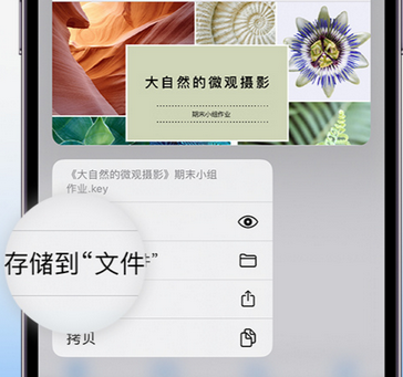 夏邑apple维修中心分享iPhone文件应用中存储和找到下载文件