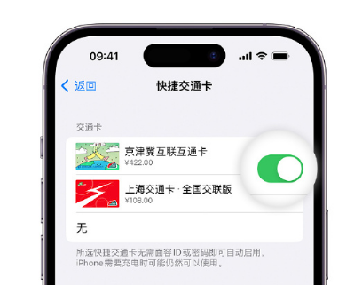 夏邑apple维修点分享iPhone上更换Apple Pay快捷交通卡手绘卡面 