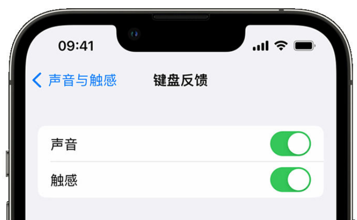 夏邑苹果手机维修分享iPhone 14触感键盘使用方法 