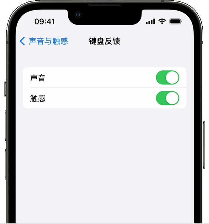 夏邑苹果14维修店分享如何在 iPhone 14 机型中使用触感键盘 