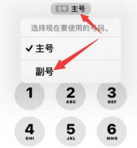 夏邑苹果14维修店分享iPhone 14 Pro Max使用副卡打电话的方法 