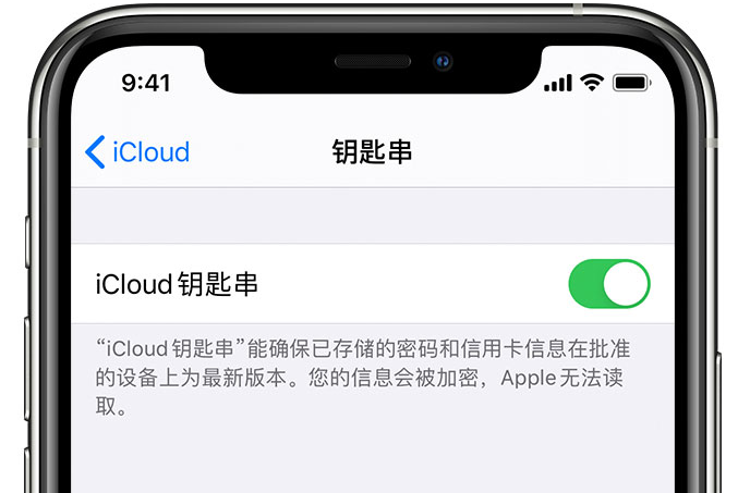 夏邑苹果手机维修分享在 iPhone 上开启 iCloud 钥匙串之后会储存哪些信息 